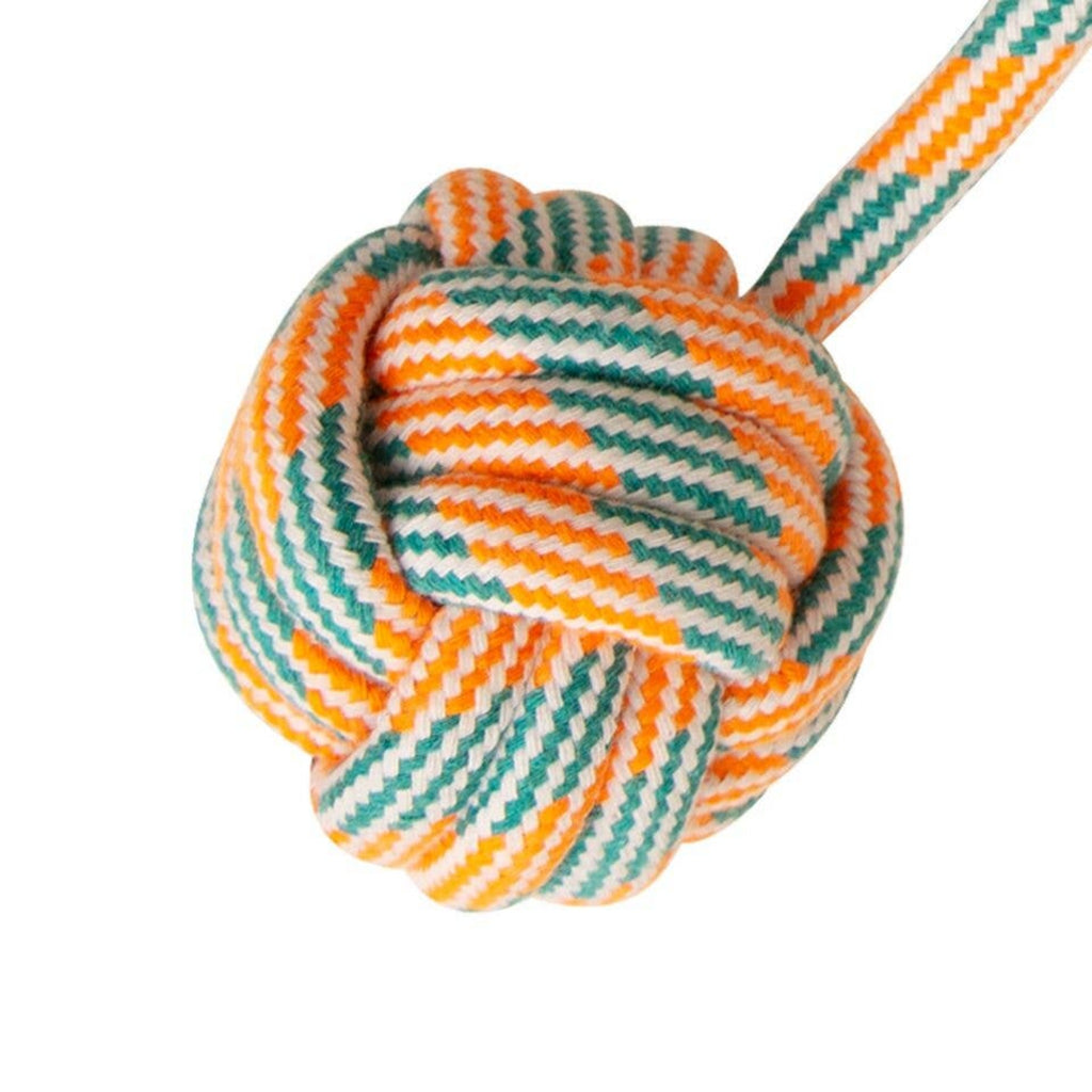 Floss N' Fun Rope Dog Toy in Orange