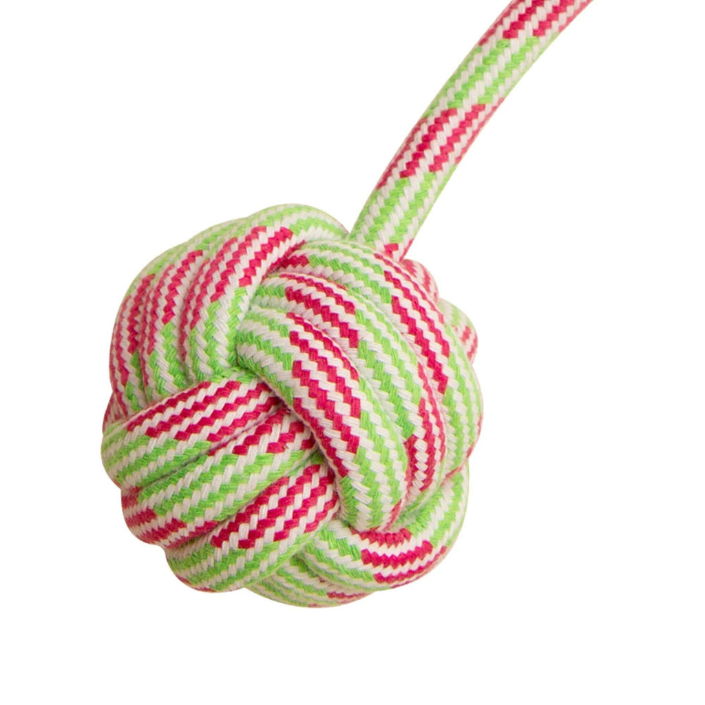 Floss N' Fun Rope Dog Toy in Red