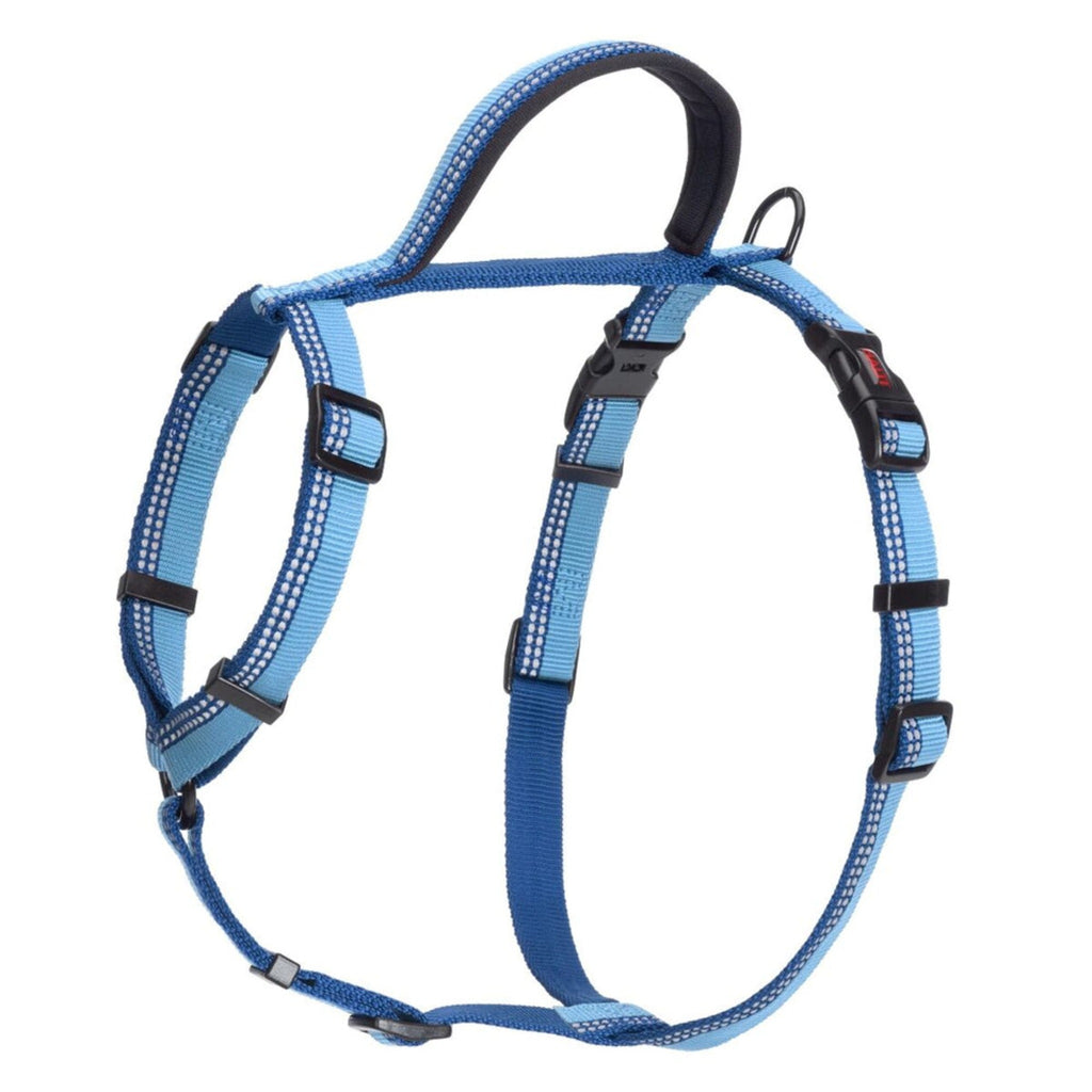 Halti Walking Dog Harness in Blue