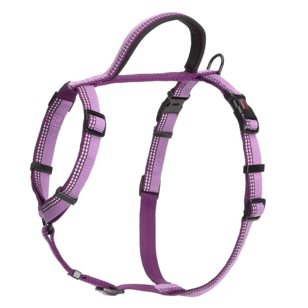 Halti Walking Dog Harness in Purple