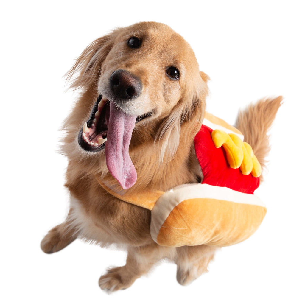 Happy dog wears a Hot Dog Costume