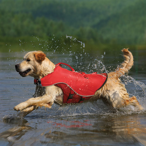 dog-models-surf-n-turf-dog-coat-in-water