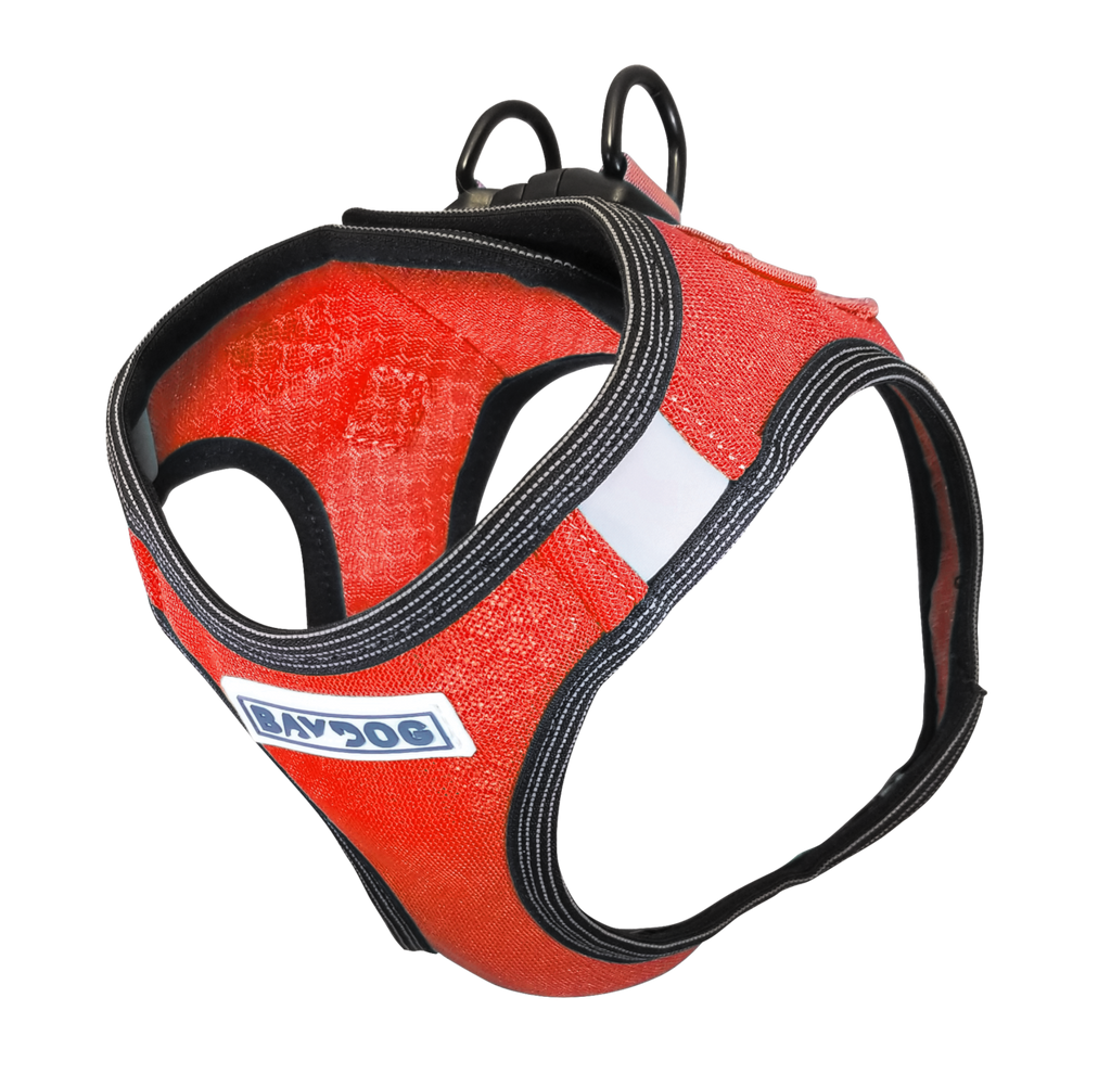 Liberty Bay Dog Harness in Clifford Red