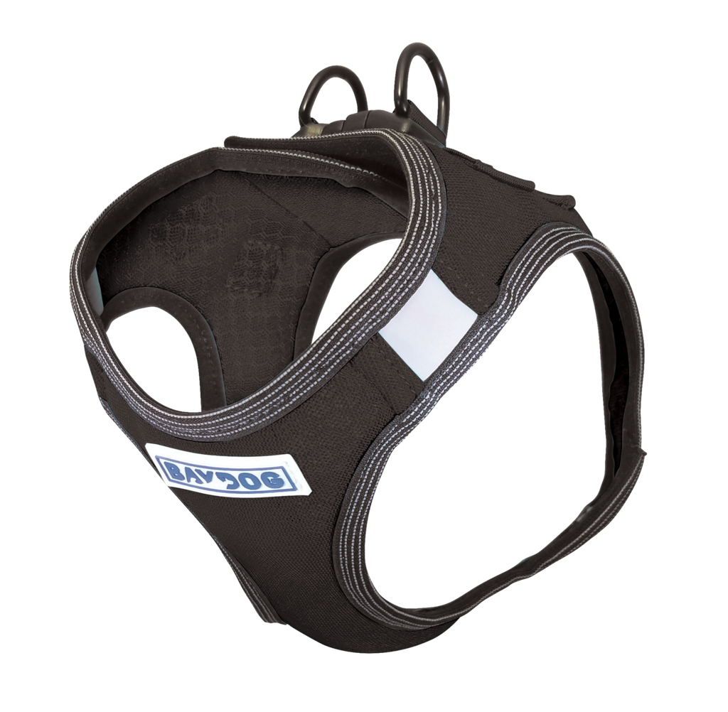 Liberty Bay Dog Harness in Covert Black