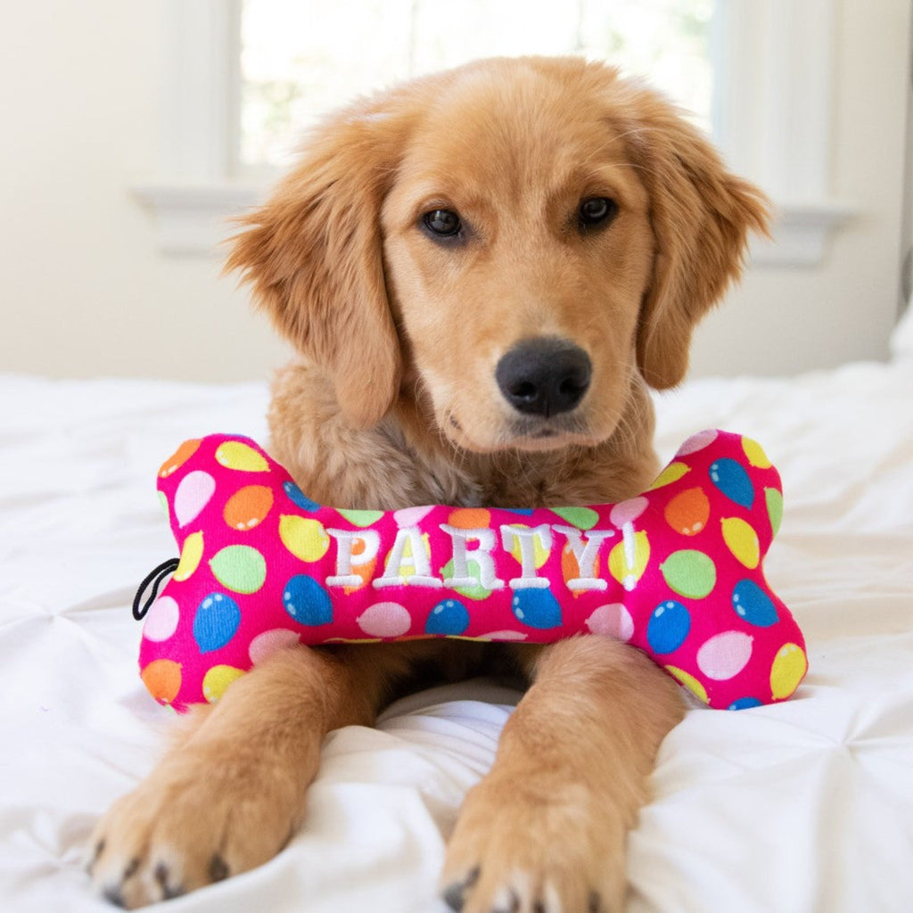 Huxley & Kent's Party Time Bone Dog Toy is almost as big as this puppy