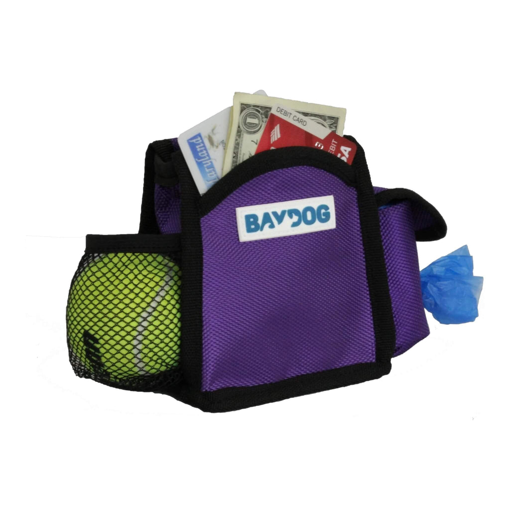 Pack-N-Go Bag in Purple has ample space for credit cards and money