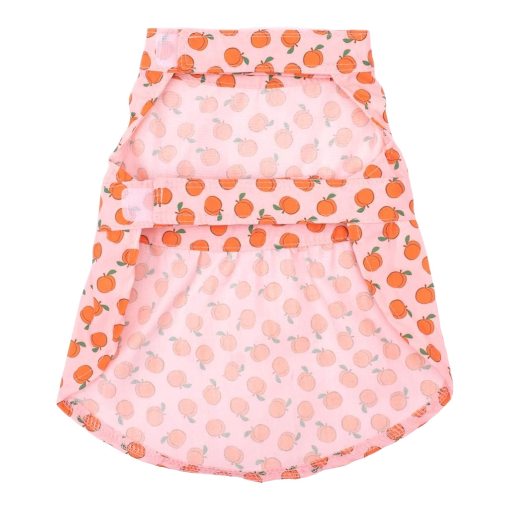 Peachy Keen Dog Dress Featuring Easy to Wear Closures