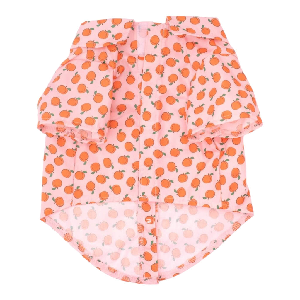 Peachy Keen Dog Shirt featuring touch fastener closures