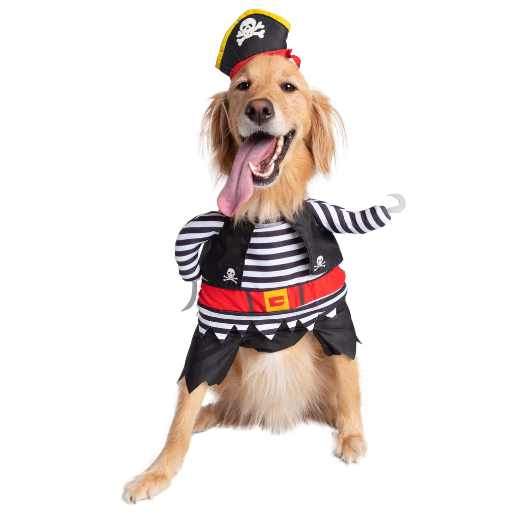 Golden Retriever looks dashing in the Pirate Dog Costume