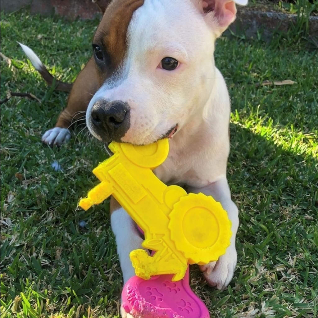 Pittie enjoys chewing his Industrial Tractor Dog Chew Toy