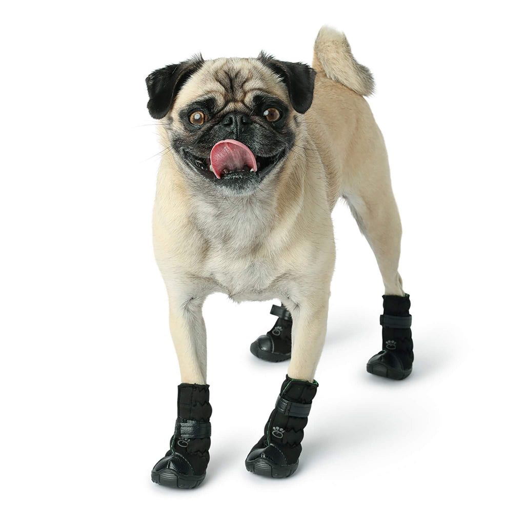 Pug Models Elasto-Fit Dog Boots