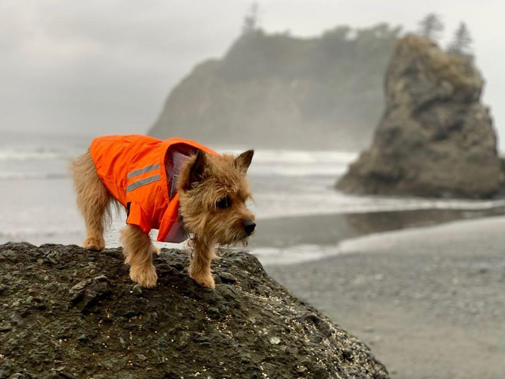 ready-for-adventure-whatever-the-weather