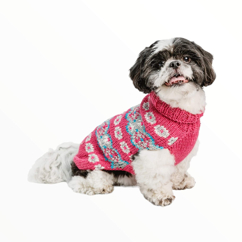 Small breed dog models Rose Alpaca Fair Isle Dog Sweater