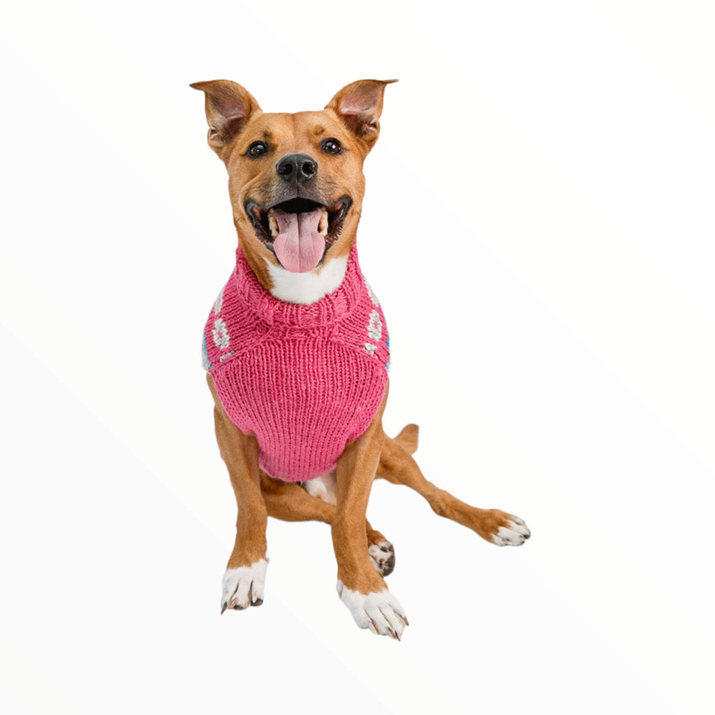 Tan dog wears Alpaca Rose Fair Isle Dog Sweater