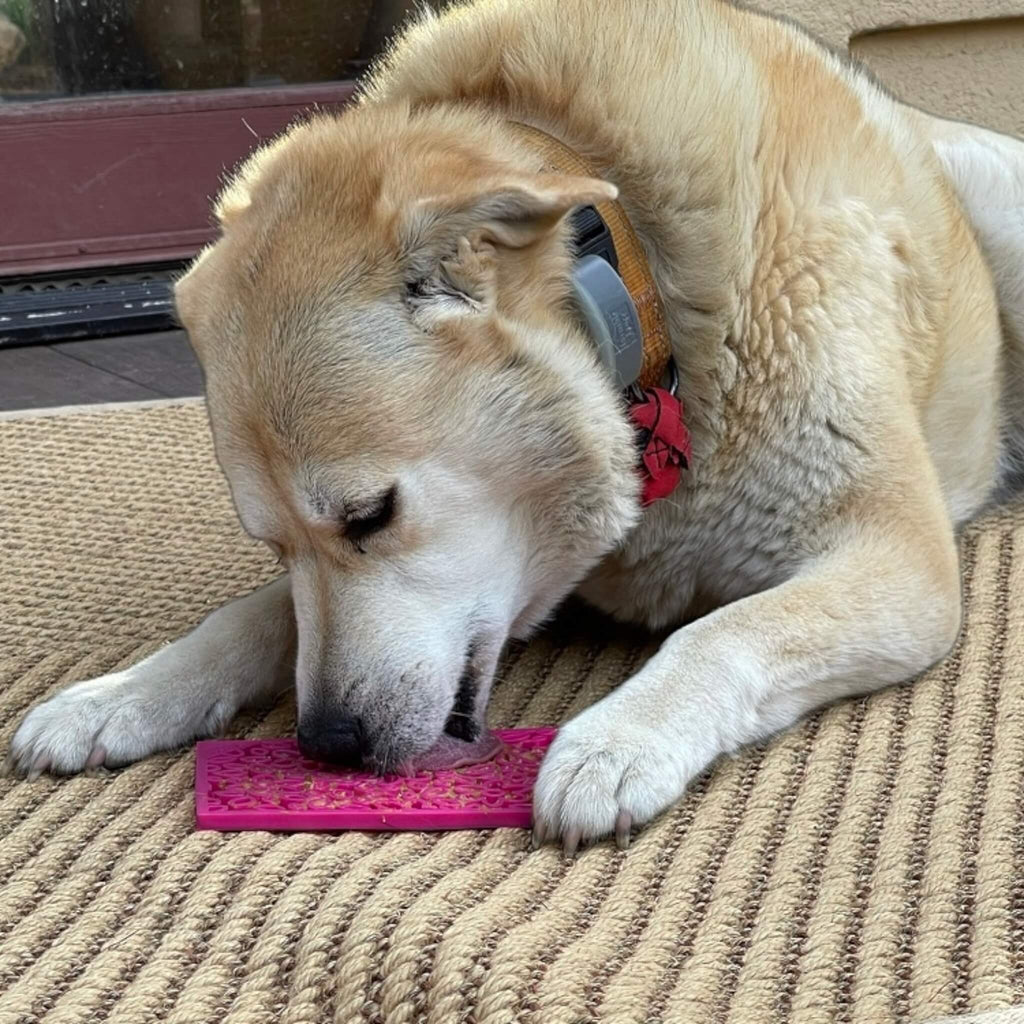 The Flower Power Emat Enrichment Licking Mat for Dogs slows down eating