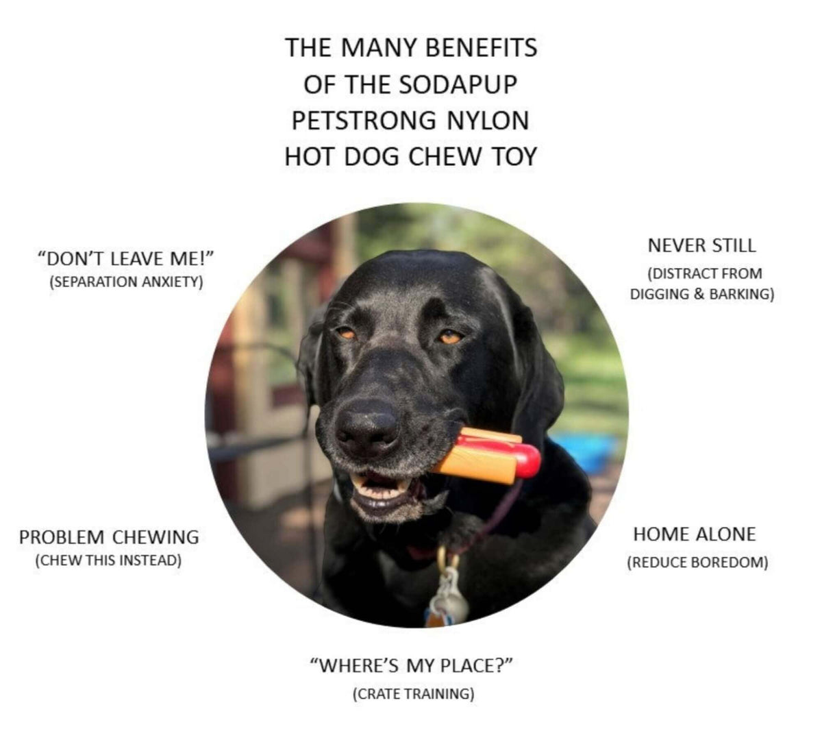 https://www.ukuscadoggie.com/cdn/shop/products/the-many-benefits-of-the-sodapup-petstrong-nylon-hot-dog-chew-toy_1200x1200.jpg?v=1653000546