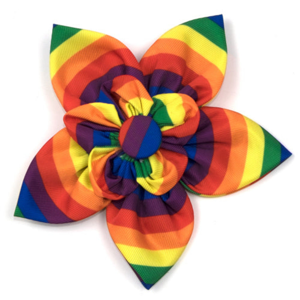 Rainbow Flower Dog Collar Accessory