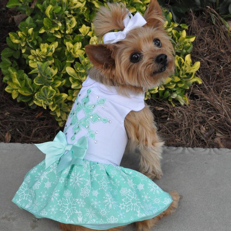 turquoise-crystal-dog-dress-with-matching-leash