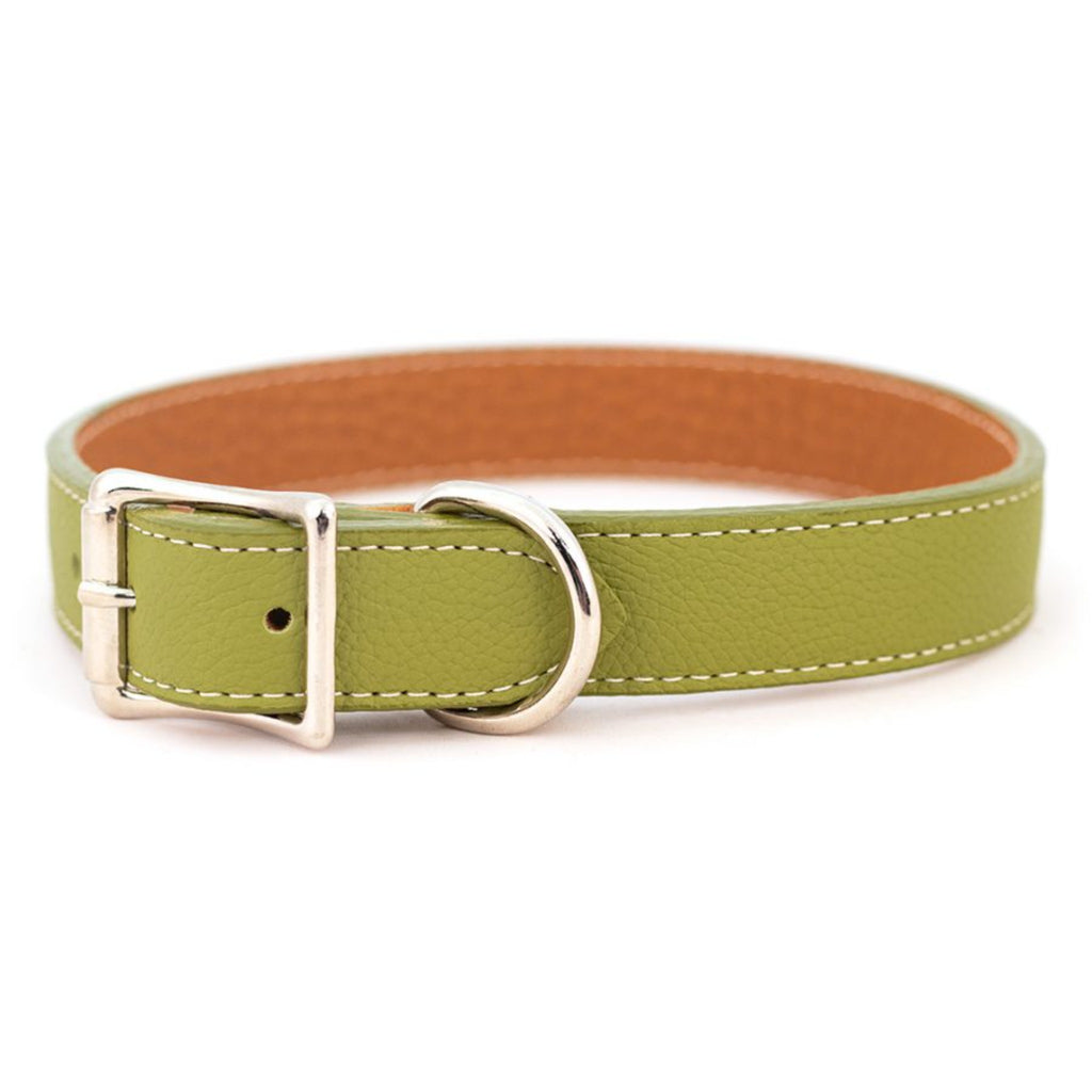 Tuscan Italian Soft Leather Dog Collar in Green