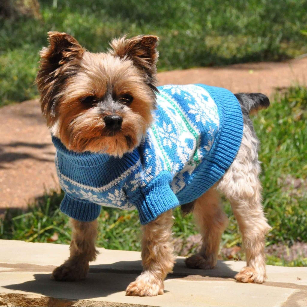 Yorkie Wears Combed Cotton Snowflakes and Hearts Dog Sweater in Blue