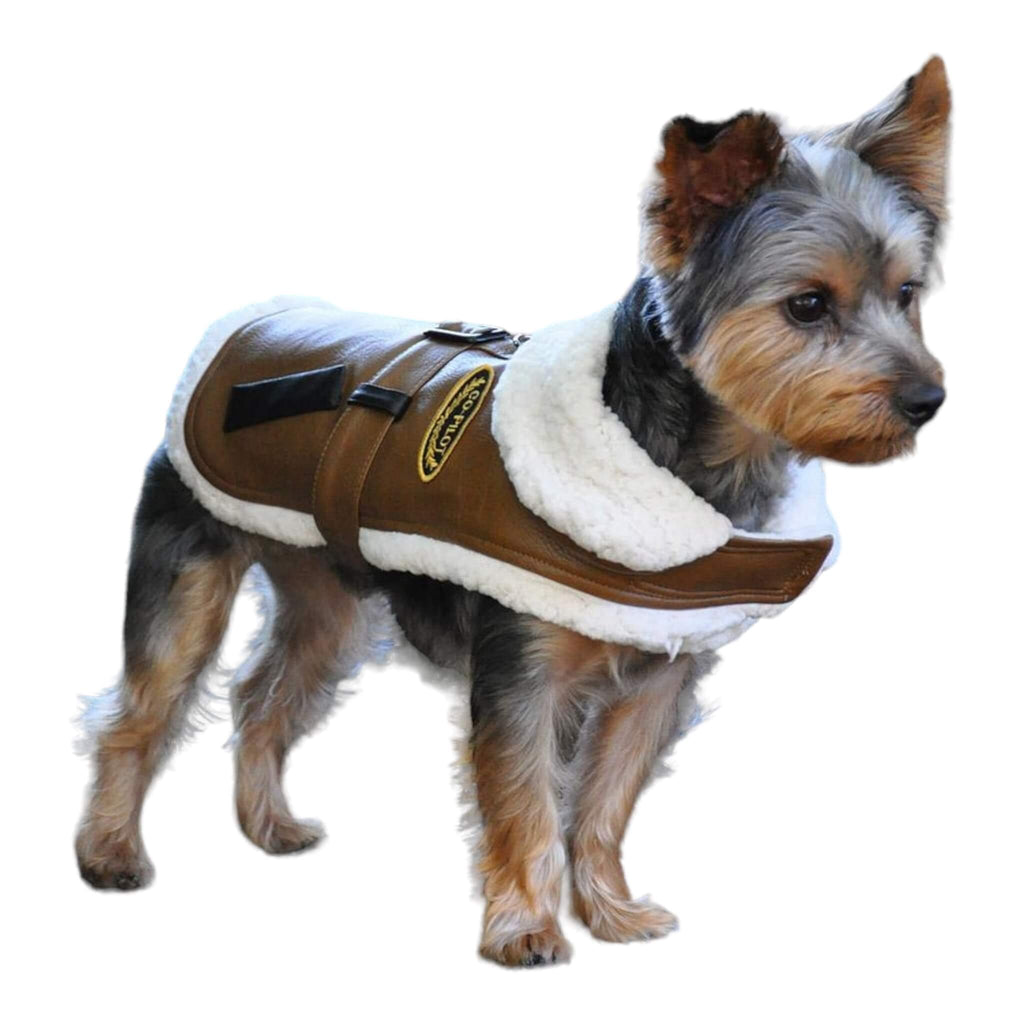 Yorkshire Terrier models Brown and Black Faux Leather Bomber Dog Harness Coat with Leash